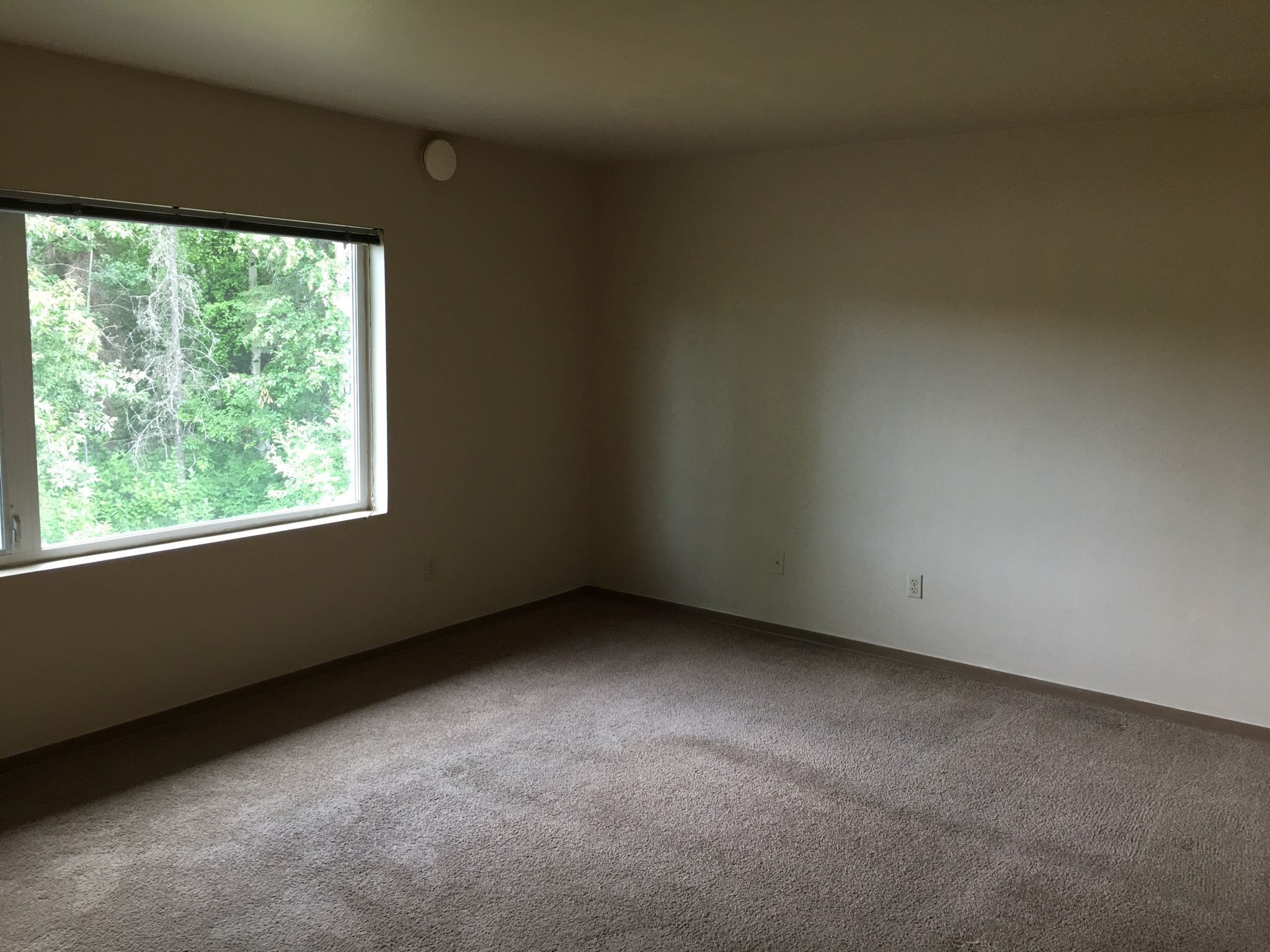 Jack White Real Estate Anchorage Alaska at Lucille Nair blog